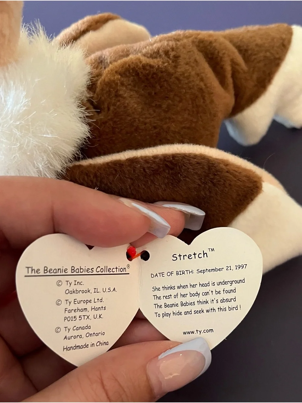Stretch the Ostrich Beanie Baby